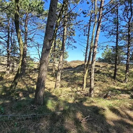 Feriehus 6 Person In Romo-by Traum Sønderby