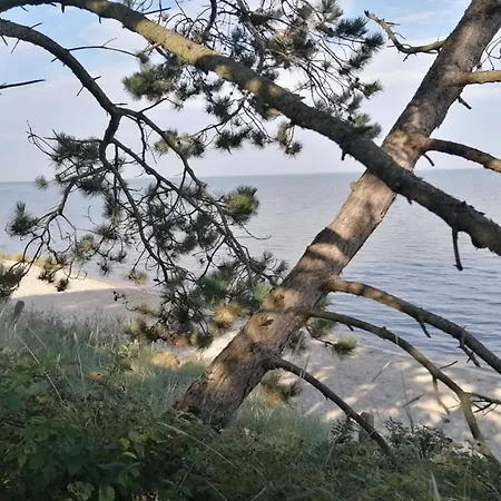 6 Person In Romo-by Traum Hébergement de vacances