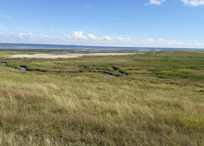 Prázdninový dům 6 Person In Romo-by Traum *