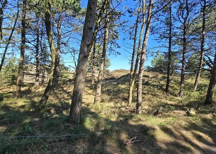 Prázdninový dům 6 Person In Romo-by Traum Sønderby