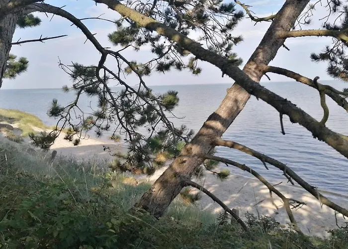 6 Person In Romo-by Traum Prázdninový dům *